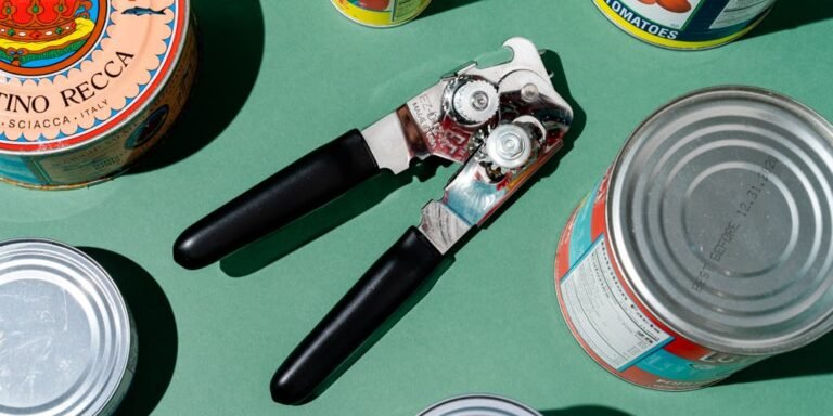 What is the Best Can Opener to Purchase?